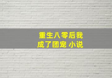 重生八零后我成了团宠 小说